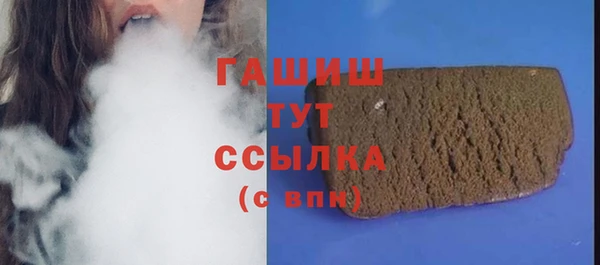 spice Бородино