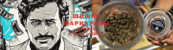 мдпв Бугульма
