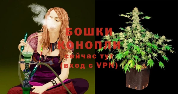 spice Бородино