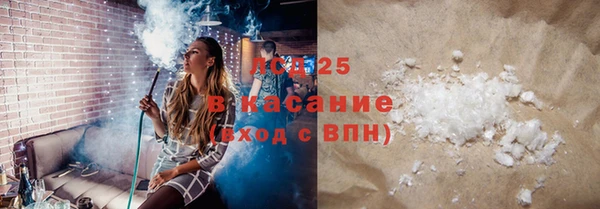 spice Бородино