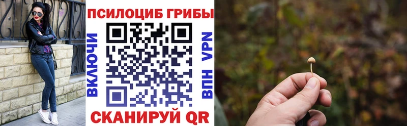 Псилоцибиновые грибы Magic Shrooms  Бугуруслан 