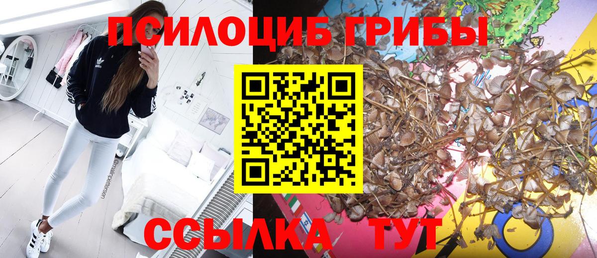 Бугуруслан  Псилоцибиновые грибы мицелий  Псилоцибиновые грибы Magic Shrooms  Вход с VPN 